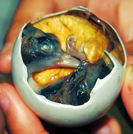 Balut