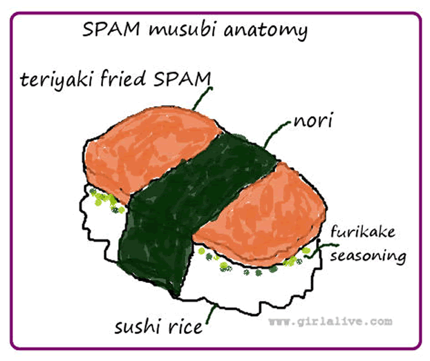 Diagram Drawing of Spam Musibi